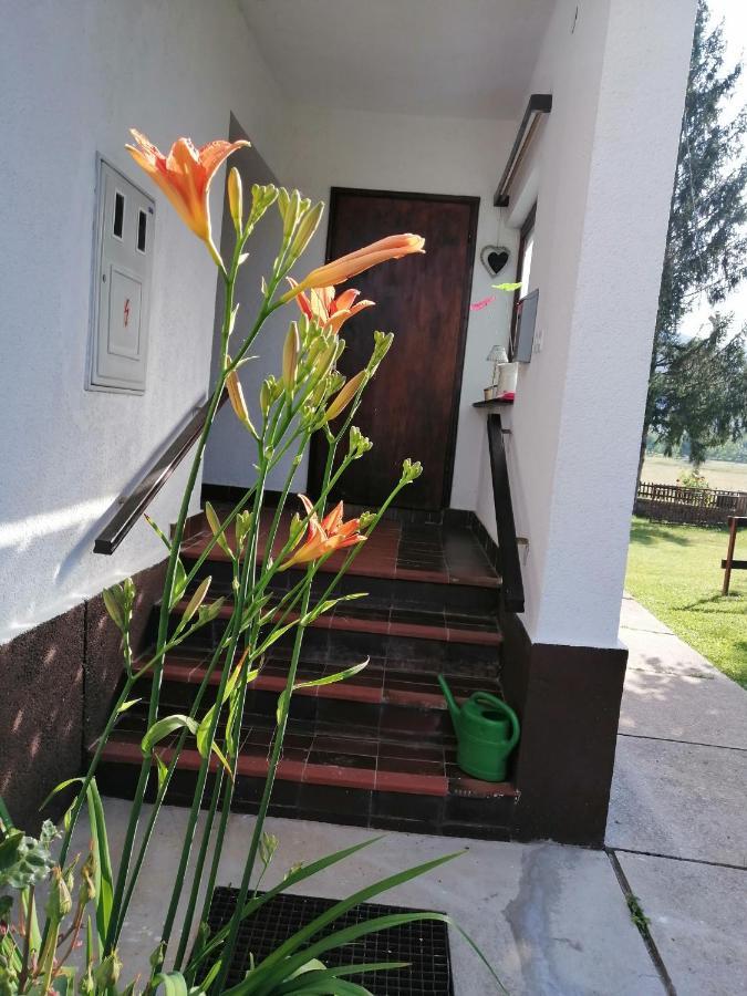 Lovinac  Holiday Home Nada I Milan מראה חיצוני תמונה
